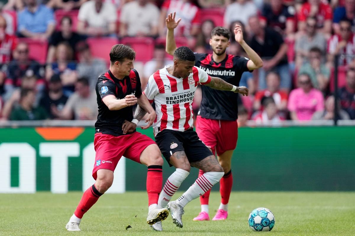 迷和防守的 迷和防守的